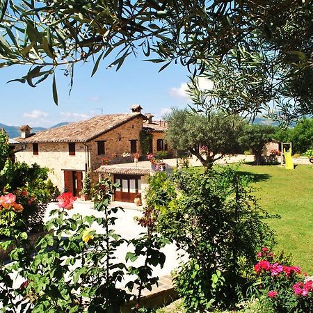 Agriturismo L'Antico Oliveto San Severino Marche Esterno foto