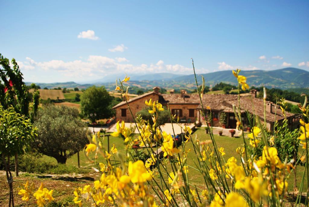 Agriturismo L'Antico Oliveto San Severino Marche Esterno foto