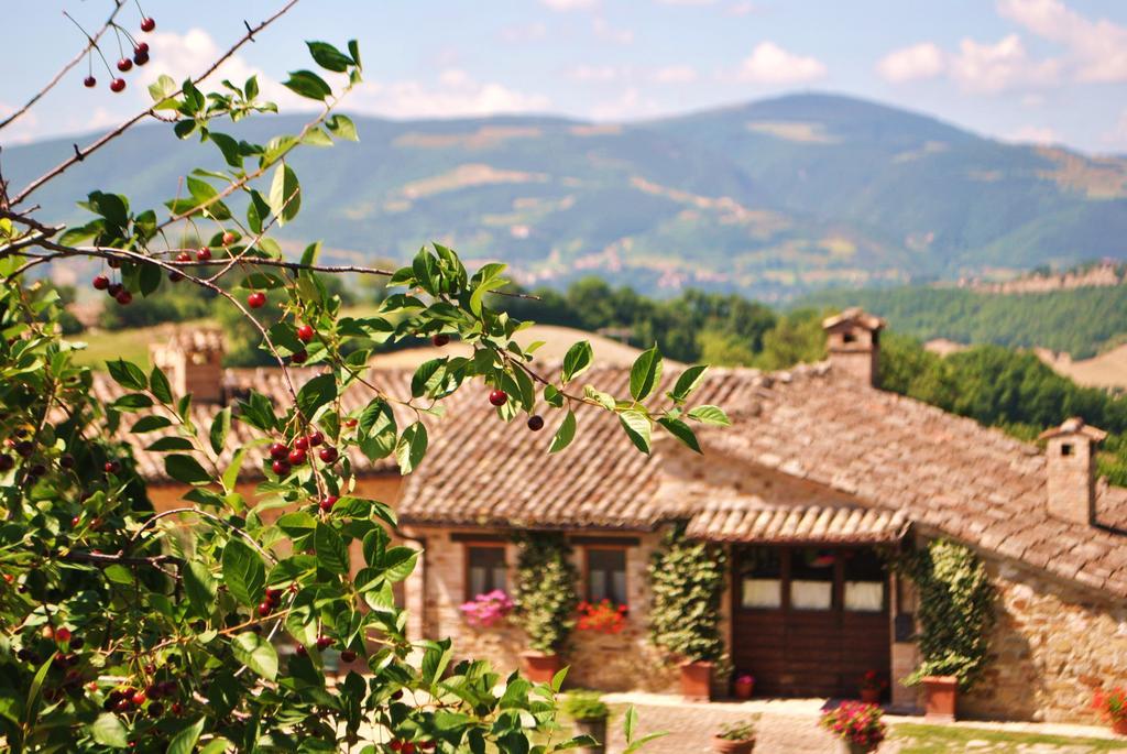 Agriturismo L'Antico Oliveto San Severino Marche Esterno foto