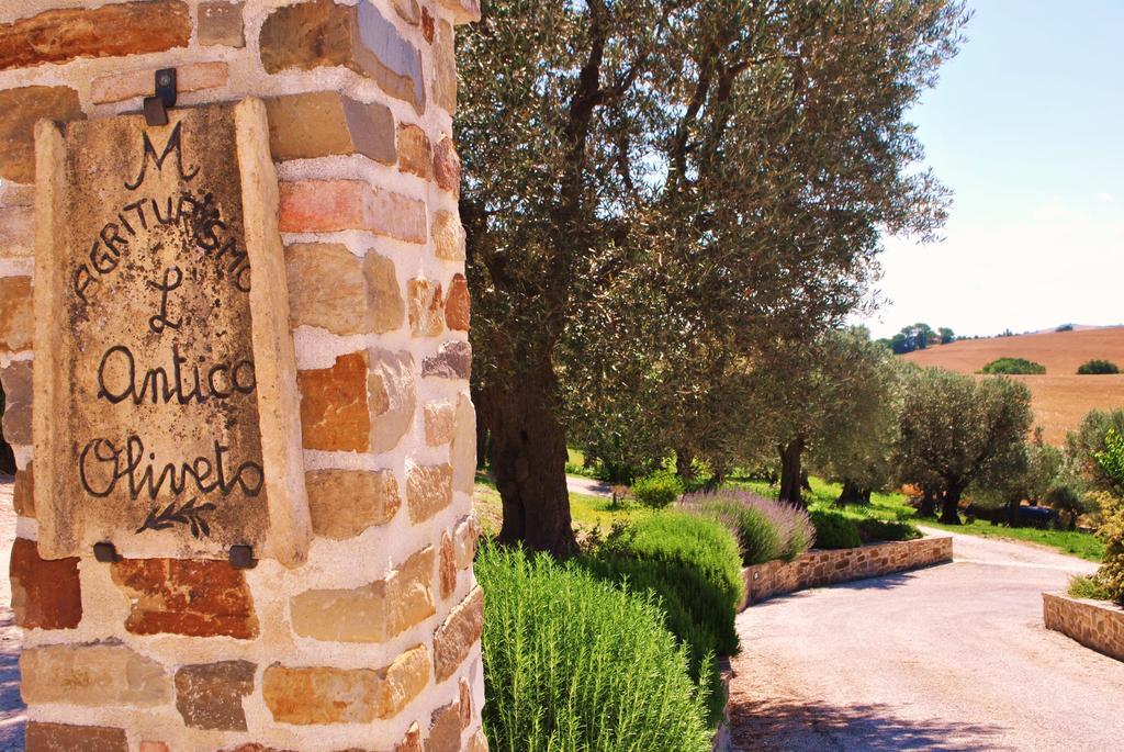 Agriturismo L'Antico Oliveto San Severino Marche Esterno foto